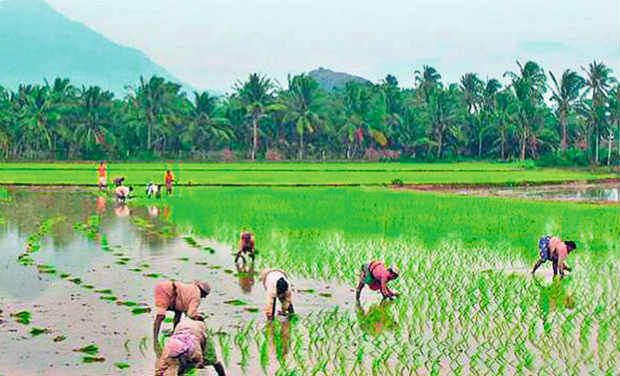 Representational image (Photo: DC)